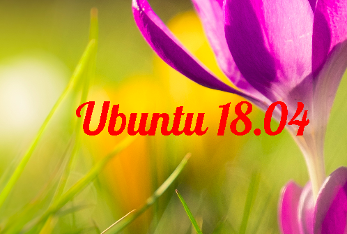 Ubuntu 18.04